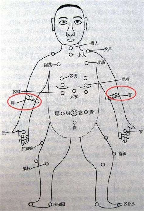 手臂有痣代表什麼|胳膊上有痣代表什么 胳膊不同位置痣相解析——天玄网